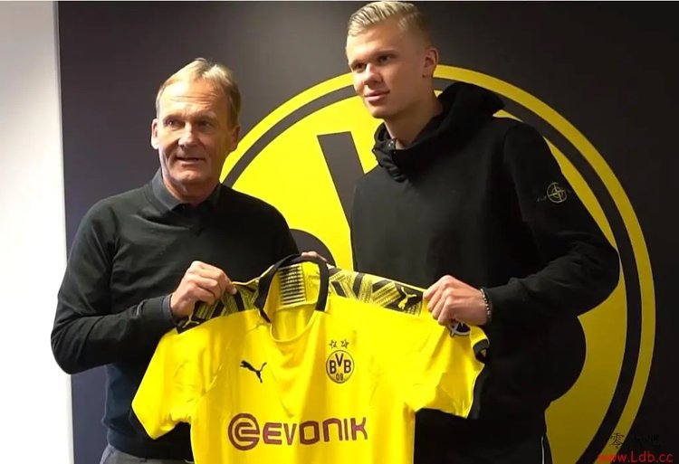 收官战梭鱼湾球市火热，大连英博小程序各价位球票均显示售罄