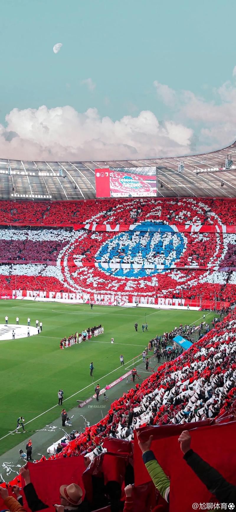 贝尔萨：我是个毒瘤，是那种会让环境变得紧张的人